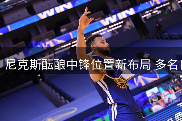 尼克斯酝酿中锋位置新布局 多名自由球员进入考察名单